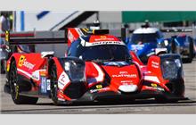 41 - Oreca 07 Gibson #73 - Team WRT