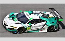 66 - Acura NSX GT3 - Gradient Racing