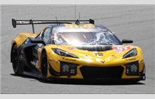 81 - Chevrolet Corvette C8 Z06 LMGT3.R #007 (Pratt & Miller) - TF Sport