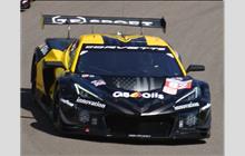 82 - Chevrolet Corvette C8 Z06 LMGT3.R #008 (Pratt & Miller) - TF Sport