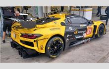 81 - Chevrolet Corvette C8 Z06 LMGT3.R #007 (Pratt & Miller) - TF Sport