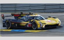 3 - Cadillac V-Series.R #P222 016 (Dallara) - Cadillac Racing
