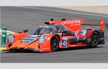 45 - Oreca 07 Gibson #110 - Crowdstrike Racing by APR