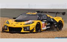 81 - Chevrolet Corvette C8 Z06 LMGT3.R #007 (Pratt & Miller) - TF Sport