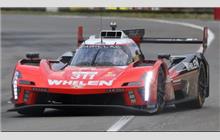 311 - Cadillac V-Series.R #P222 009 (Dallara) - Whelen Cadillac Racing