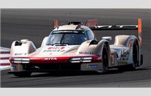 38 - Porsche 963 #124 (Multimatic) - Hertz Team Jota