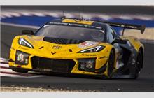 81 - Chevrolet Corvette C8 Z06 LMGT3.R #007 (Pratt & Miller) - TF Sport