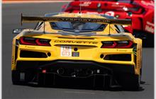 81 - Chevrolet Corvette C8 Z06 LMGT3.R #007 (Pratt & Miller) - TF Sport