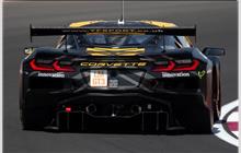 82 - Chevrolet Corvette C8 Z06 LMGT3.R #008 (Pratt & Miller) - TF Sport