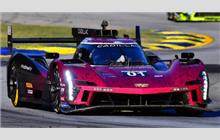 01 - Cadillac V-Series.R #P222 016 (Dallara) - Cadillac Racing