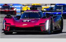 01 - Cadillac V-Series.R #P222 016 (Dallara) - Cadillac Racing