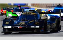 5 - Porsche 963 #117 (Multimatic) - Proton Competition Mustang Sampling