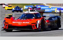 31 - Cadillac V-Series.R #P222 019 (Dallara) - Whelen Cadillac Racing