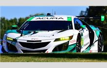 66 - Acura NSX GT3 #003 - Gradient Racing