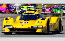 85 - Porsche 963 #112 (Multimatic) - JDC-Miller MotorSports