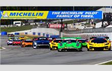 Additional Photo - Petit Le Mans 2024