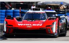 31 - Cadillac V-Series.R (Dallara) - Whelen Cadillac Racing