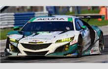 66 - Acura NSX GT3 - Gradient Racing