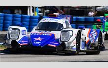 81 - Oreca 07 Gibson - DragonSpeed