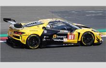 81 - Chevrolet Corvette C8 Z06 LMGT3.R #007 (Pratt & Miller) - TF Sport