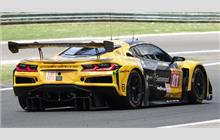 81 - Chevrolet Corvette C8 Z06 LMGT3.R #007 (Pratt & Miller) - TF Sport