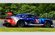 64 - Ford Mustang GT3 #FP GT3 004 (Multimatic) - Ford Multimatic Motorsports