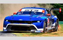 64 - Ford Mustang GT3 #FP GT3 004 (Multimatic) - Ford Multimatic Motorsports