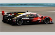 31 - Cadillac V-Series.R (Dallara) - Whelen Cadillac Racing