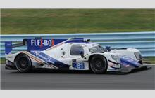 81 - Oreca 07 Gibson - DragonSpeed