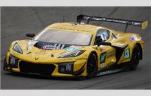 33 - Chevrolet Corvette C8 Z06 LMGT3.R #008 (Pratt & Miller) - TF Sport