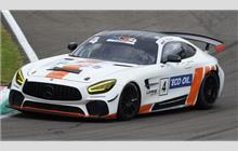 4 - Mercedes-AMG GT4 #AMG GT4 190 18 1098 - Lema Racing