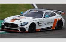 19 - Mercedes-AMG GT4 #1115 - Lema Racing