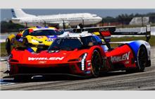31 - Cadillac V-Series.R #P222 019 (Dallara) - Cadillac Whelen
