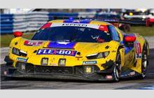 81 - Ferrari 296 GT3 (Oreca) - DragonSpeed