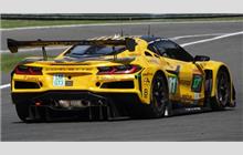 81 - Chevrolet Corvette C8 Z06 LMGT3.R #023 (Pratt & Miller) - TF Sport