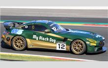 12 - Mercedes-AMG GT4 - Team Parker Racing