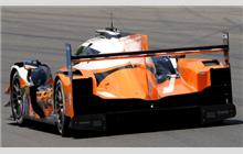 8 - Oreca 07 Gibson - Tower Motorsports