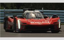 31 - Cadillac V-Series.R (Dallara) - Cadillac Whelen